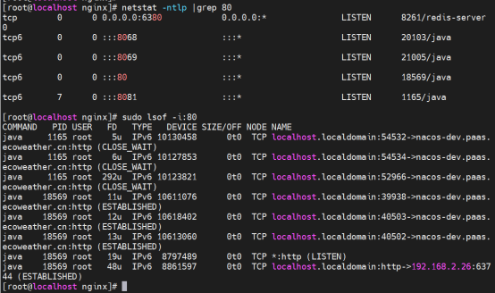 Nginx启动异常及解决方案：Failed to start SYSV: NGINX is an HTTP(S) server, HTTP(S) reverse proxy