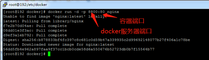 Docker: docker 启动一个Nginx容器