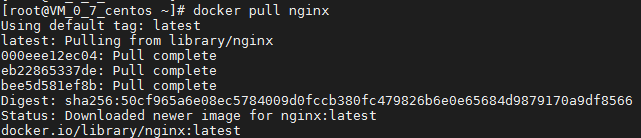 Docker中安装nginx