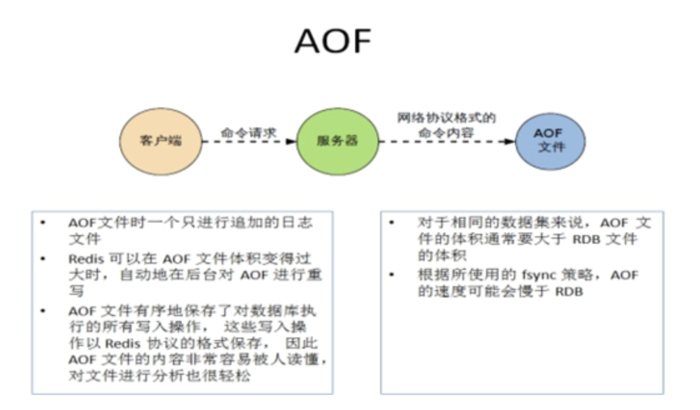 redis（13）持久化操作-AOF