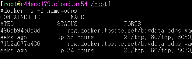 docker初学