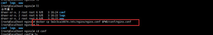 Docker安装nginx