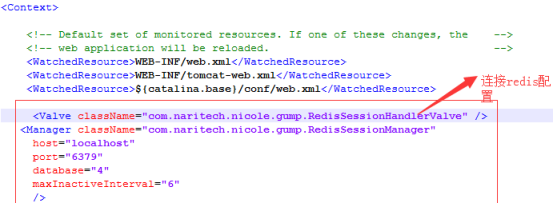 使用Nginx搭建Tomcat9集群，Redis实现Session共享