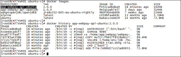 用Dockerfile制作一个java应用镜像，ubuntu基础篇