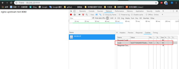 nginx  cookie  会话保持功能