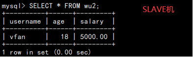 MySQL主从复制配置(Docker容器内配置)