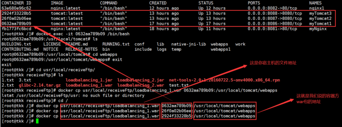 Docker+Nginx+Tomcat实现负载均衡