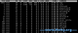 linux top命令详解