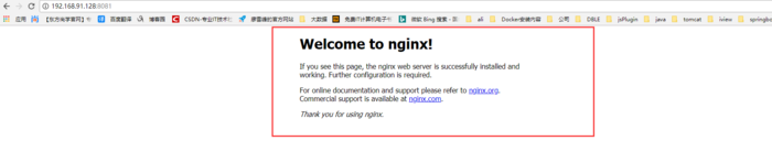 Docker安装Nginx