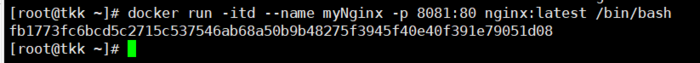 Docker安装Nginx