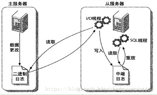 MySQL主从复制配置(Docker容器内配置)