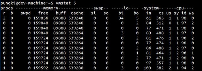 Linux vmstat：报告虚拟内存统计的工具