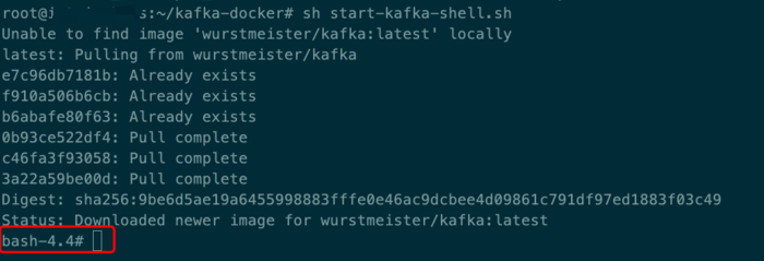 docker快速搭建kafka集群