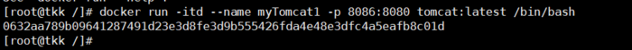 Docker安装Tomcat