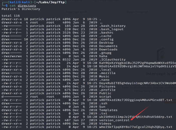 Vulnhub Joy Walkthrough