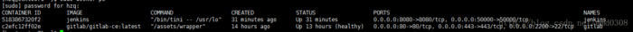 Linux Docker安装Jenkins