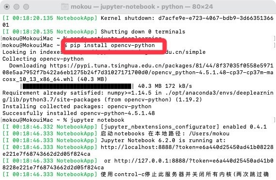 【2021.03.03】使用卷积神经网络实现MNIST（上）