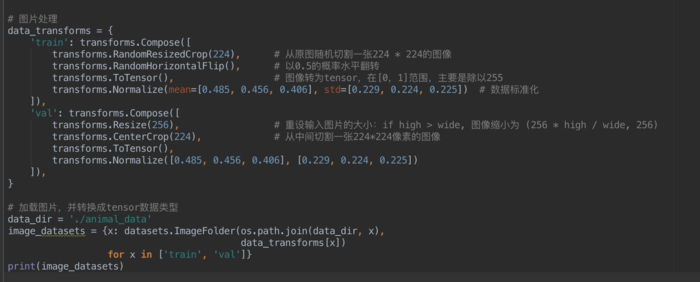 pytorch 图片处理.md