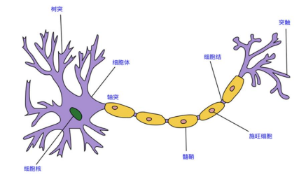 Tensorflow 笔记：第一讲