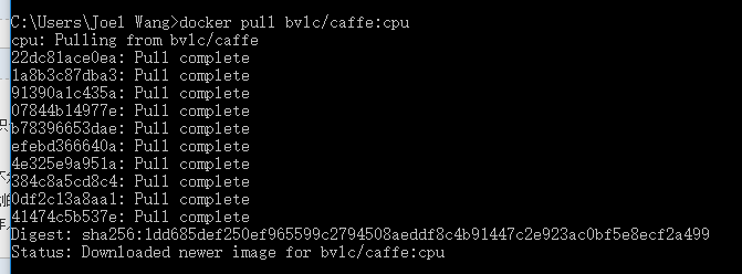 windows10下基于docker的bvlc/caffe环境搭建与使用