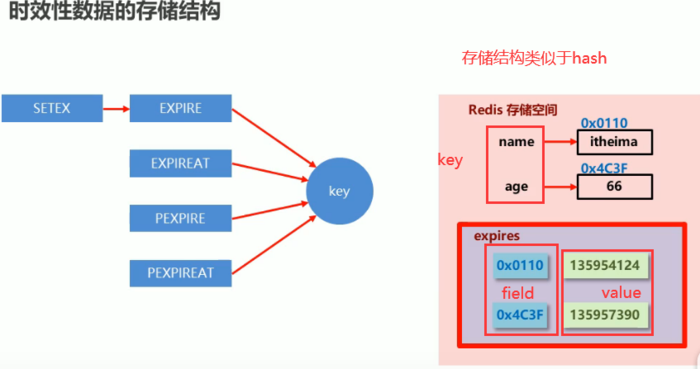 Redis入门到精通（十四）——三种过期数据删除策略、过期数据的底层存储结构、定时删除和惰性删除、定期删除、删除策略的对比、数据逐出策略