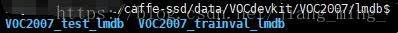 caffe-ssd 训练自己的VOC数据集(二):训练生成的lmdb数据