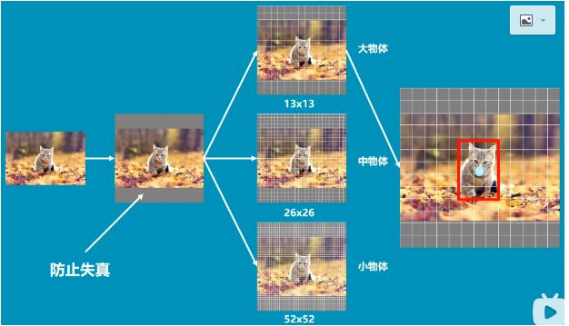 【yolov3入门】一文让你读懂yolov3目标检测原理