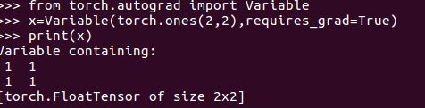 PyTorch入门学习（二）：Autogard之自动求梯度