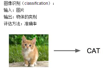 关于目标检测 Object detection